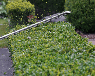 mai24-hecken-formschnitt-in-brandenburg-gartenbusiness