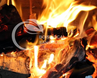 flamme avec des bûches qui brulent