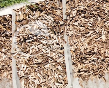 vue du dessous d'un tas de bûches coupées