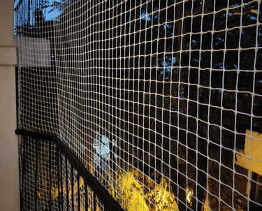Close-up of a tightly woven safety net stretched across a balcony railing in a Basavanagudi neighbor