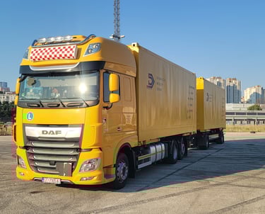 Kamion za profesionalne selidbene i logističke usluge