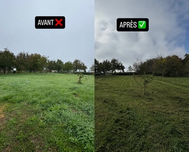 entretien d'espaces verts - tonte - taille - debroussaillage - nettoyage espace vert a cognac