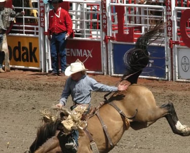 Calgary Stampede SEO 