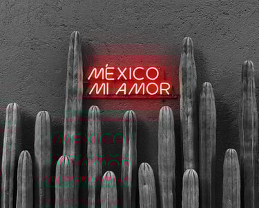 a neon sign that says mexico mi amor