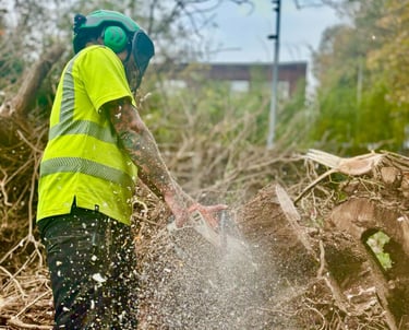 chainsaw cutting a tree