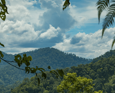a mountain view of a mountain range with a few trees - SEMATA INDONESIA Program