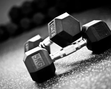 A picture of two dumbbells.