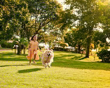 Menina brincando com o seu cachorro