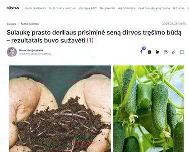 Ištrauka iš Delfi 