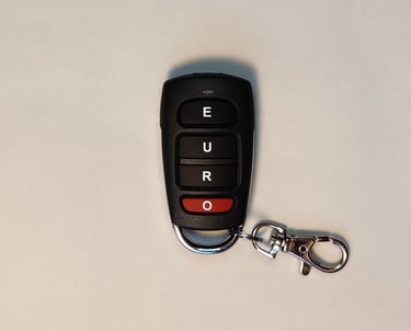 Euro remote control copy