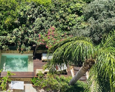 Luxury garden terrace with private plunge pool, wooden deck, and tropical palm tree.