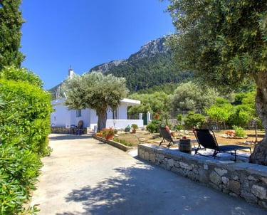 Greek villa courtyard with olive trees, lounge chairs, and a mountain view under a clear blue sky.