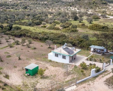 Aerial view of a sustainable countryside villa with solar panels and an outdoor kitchen in a rural olive grove.