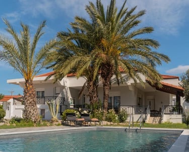 Luxury villa with private swimming pool, palm trees, and outdoor lounge chairs under a clear blue sky.