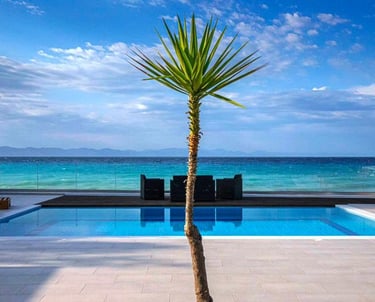 Luxury infinity pool overlooking turquoise ocean water with a tropical palm tree and blue sky.