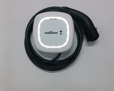 Cargador Wall box pulsar max pared