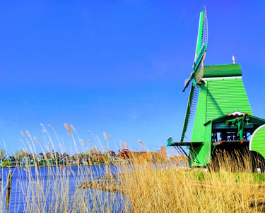 international tour package