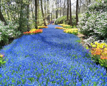 travel and tourism company in dubai