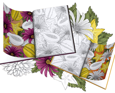 Hand-drawn digital coloring books for iPad and print – PDKNY Studio