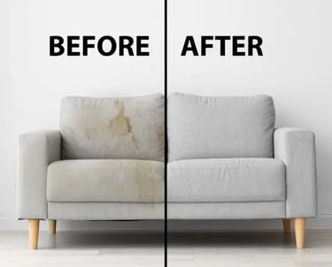 couch cleaning fort lauderdale