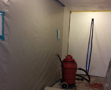 Mold remediation work area