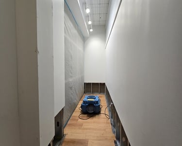 mold remediation in retail store