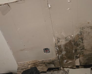 hidden mold growing on wall