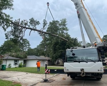 Crane removing a tree from a house