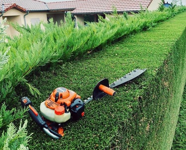 a hedge trimming a hedge hedger