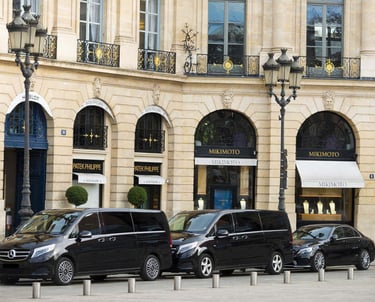 minivan cars with private driver