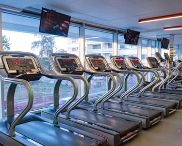 Esteiras no Arrábida Gym Lobito