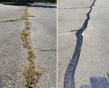 Before and after photo of overgrown deep crack and it being filled
