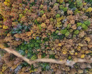 Fall time in a rural area. 