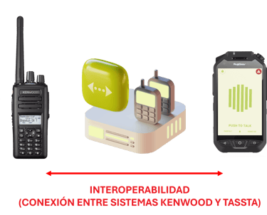 kenwood y tassta