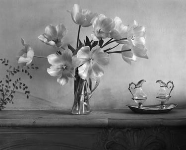 Bouquet de Tulioes. Boulogne Billancourt. Film 4x5 inches Tri-X dev Diaminophénol