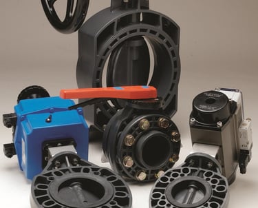 Cepex butterfly valve UAE
