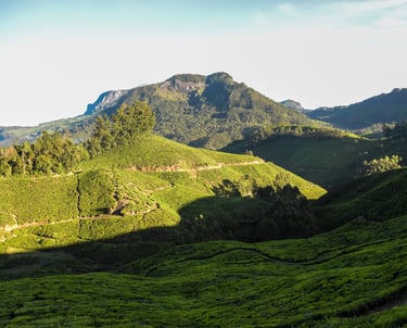 munnar_2
