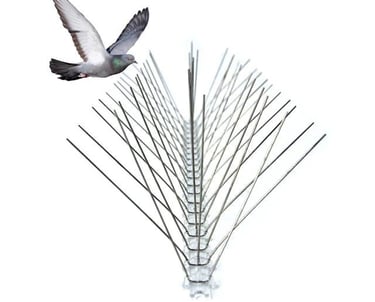 Bird spikes installed on rooftop to prevent pigeons and birds from landing