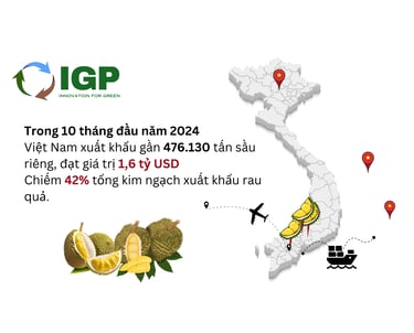 Sóng nhựa đựng sầu riêng