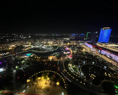City 21 View