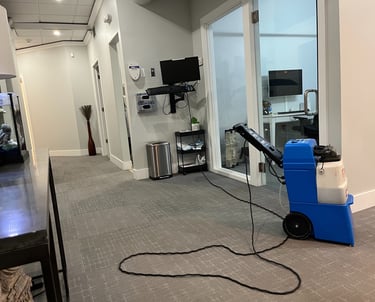 a carpeted floor being cleaned by a blue commercial carpet cleaning machine.