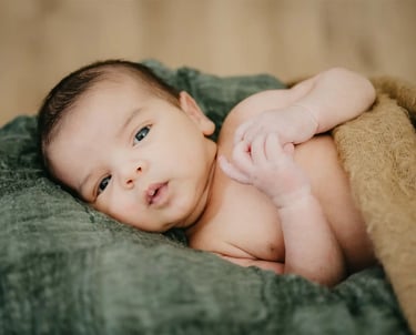Photographe naissance - Papa Ours Photo