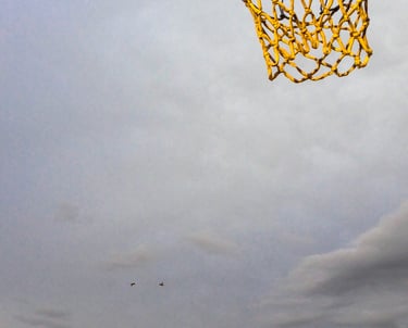 Basketball hoop net lighted by sun, 2 birds flying in a distance casted against a bluish cloudy sky.