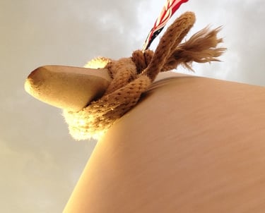 An inverted flagpole with a thick rope and an American flag on a cloudy sky.