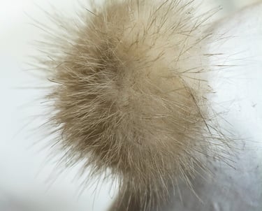 Closeup of a white fur pompon on a blurred background.