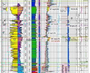 Petrophysics log analysis geologic evaluation
