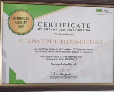 Authorized Distribution TOPBAN BMS Solar Panel