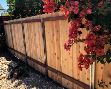 Cedar Fence