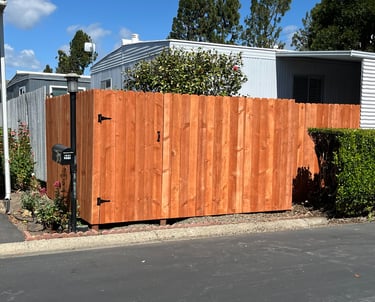 Stained Fir Fence & Gate