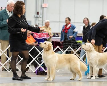 Platte Valley Kennel Club All Breed Show 2024